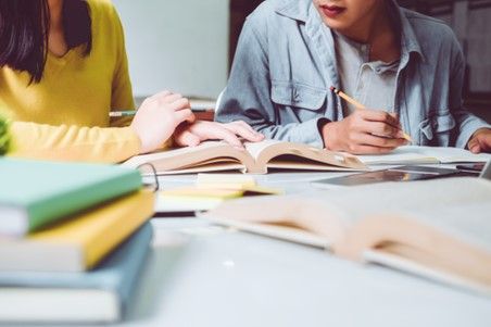 Teacher Having a Class with Student